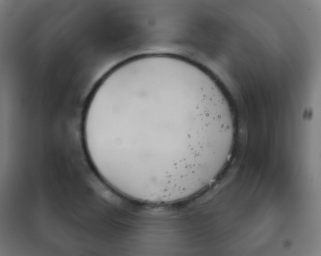 X0000102241460200807250826