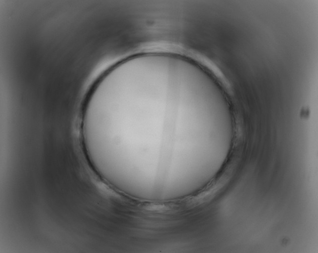 X0000102241462200807250826