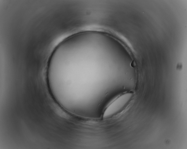 X0000102241463200807250826