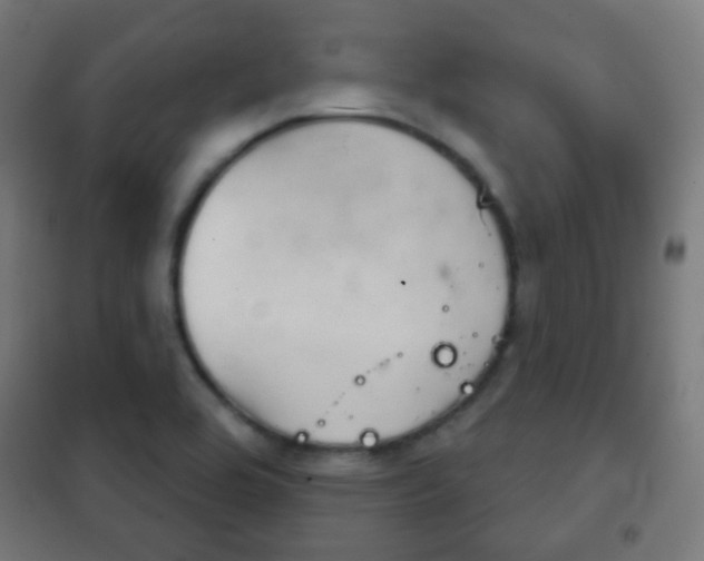 X0000102241464200807250826