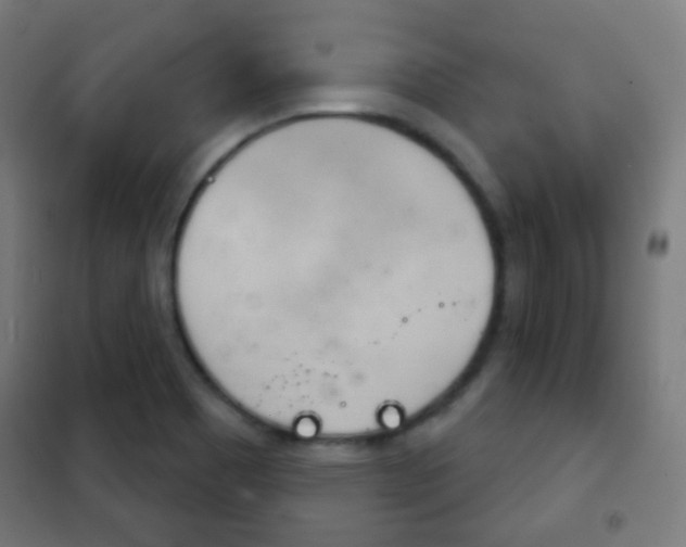 X0000102241465200807250826