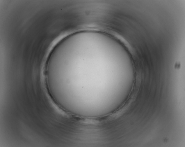 X0000102241466200807250826