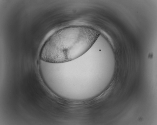 X0000102241467200807250826