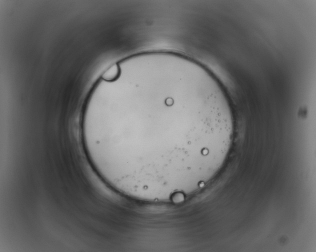 X0000102241468200807250826