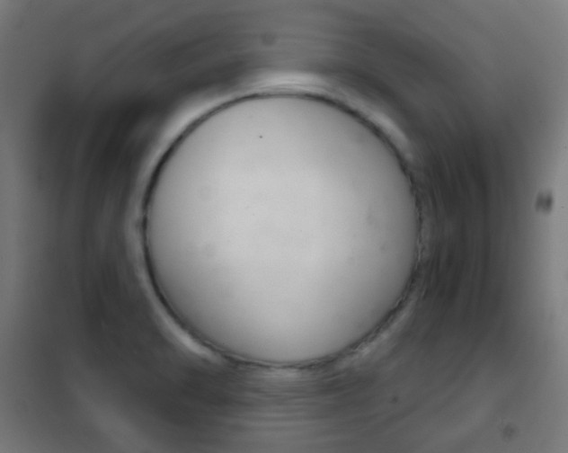 X0000102241470200807250826