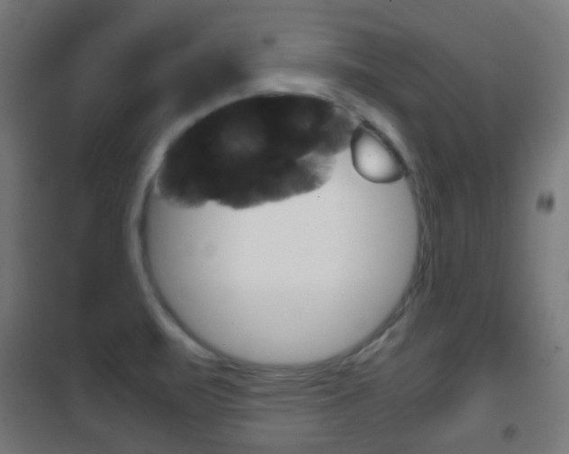 X0000102241471200807250826