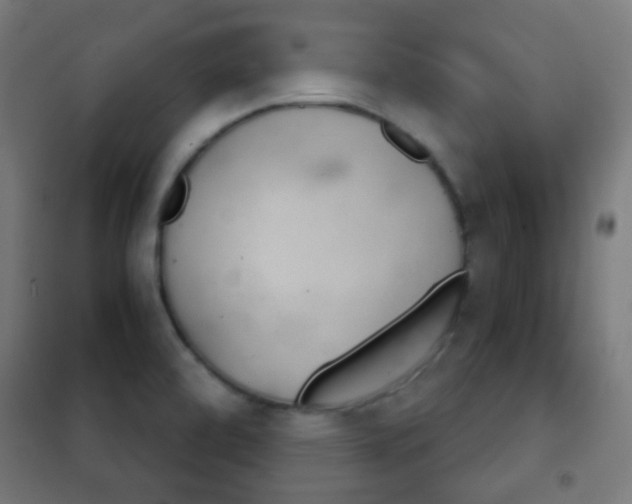 X0000102241472200807250826