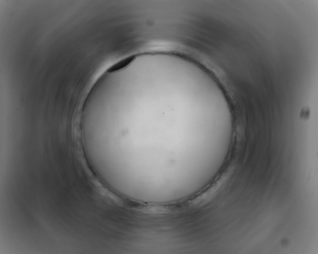 X0000102241473200807250826