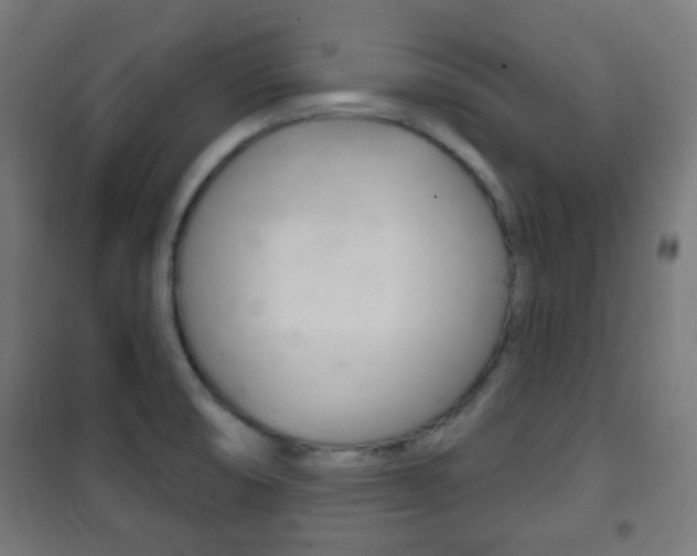 X0000102241474200807250826