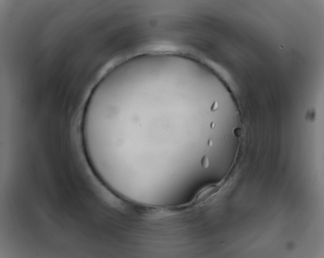 X0000102241475200807250826
