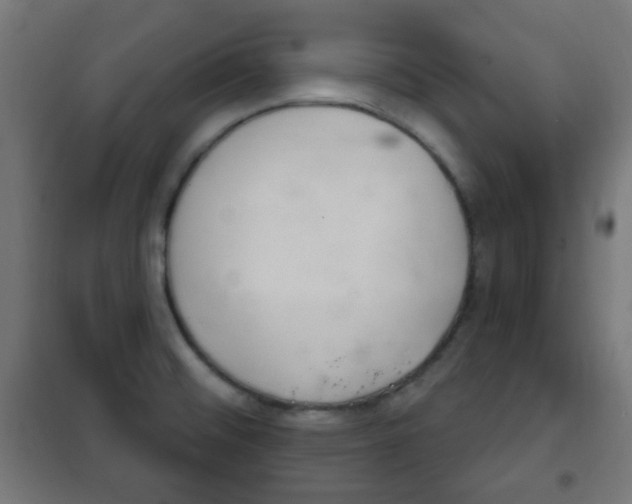 X0000102241476200807250826