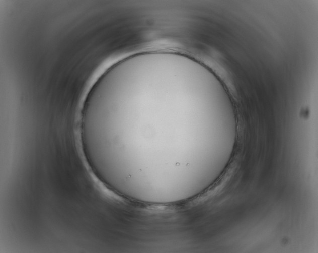 X0000102241478200807250826