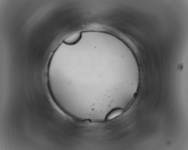 X0000102241479200807250826