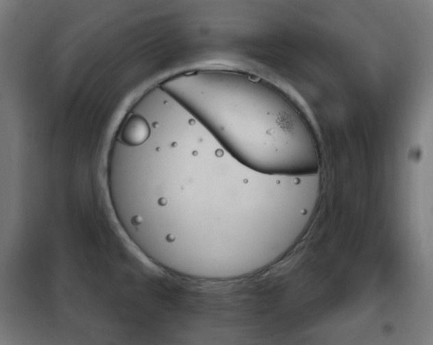 X0000102241480200807250826