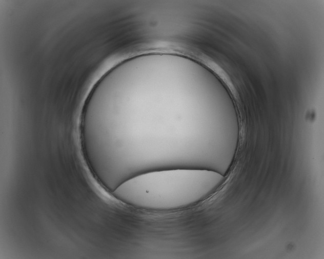 X0000102241482200807250826