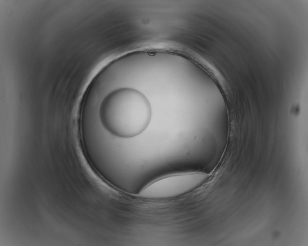 X0000102241483200807250826
