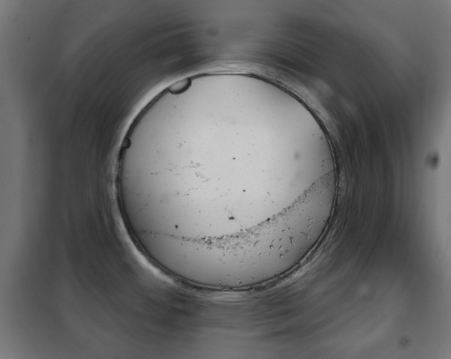 X0000102241484200807250826