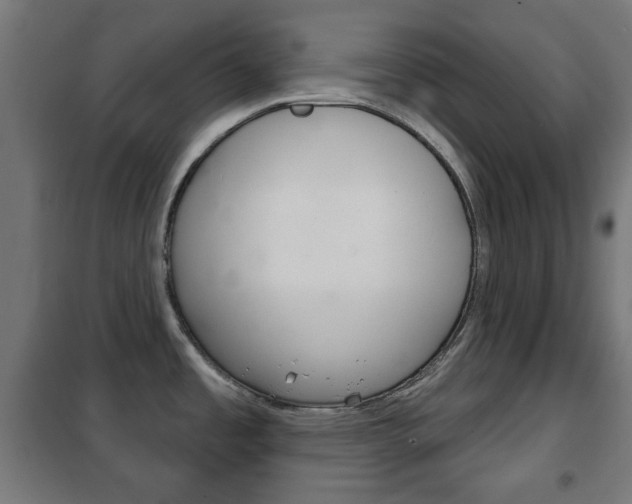 X0000102241485200807250826