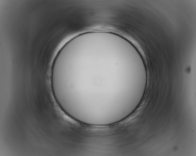 X0000102241486200807250826