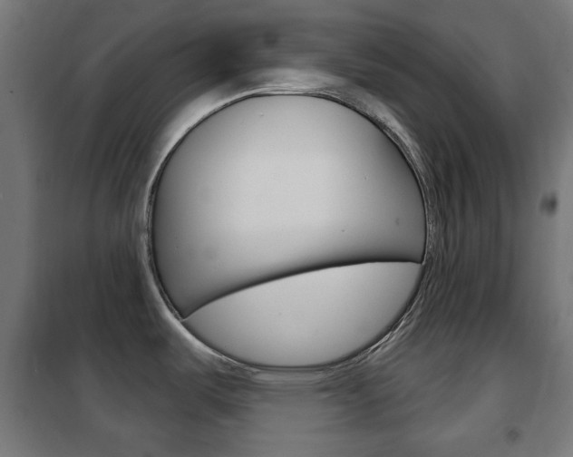 X0000102241487200807250826