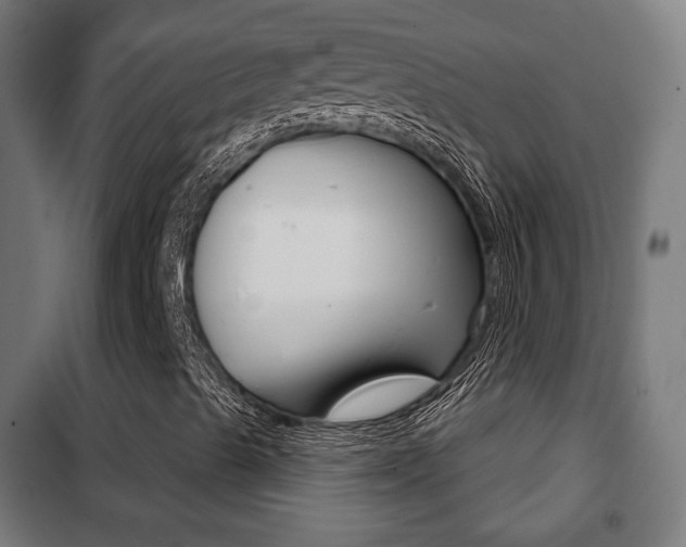 X0000102241489200807250825