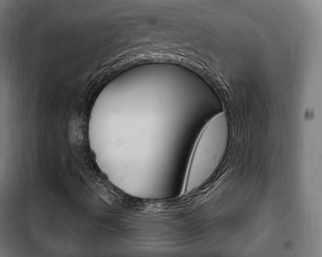 X0000102241490200807250825