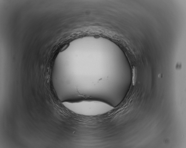 X0000102241491200807250825