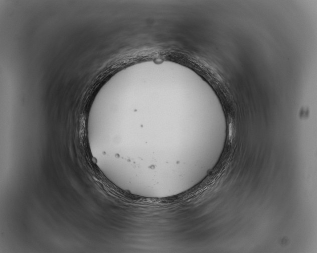 X0000102241492200807250825