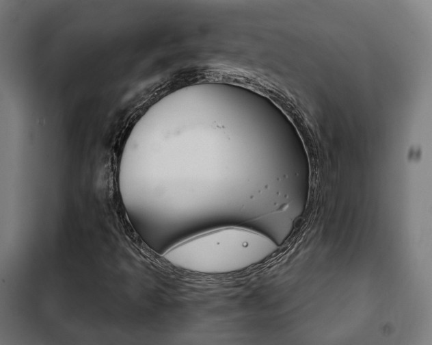 X0000102241493200807250825