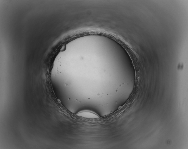 X0000102241495200807250825
