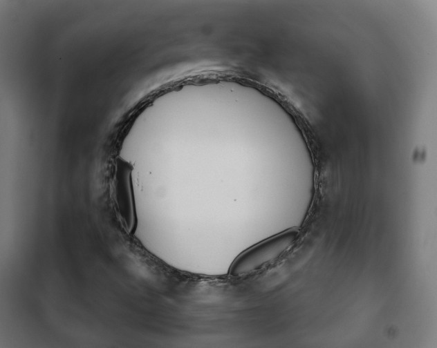X0000102241496200807250825