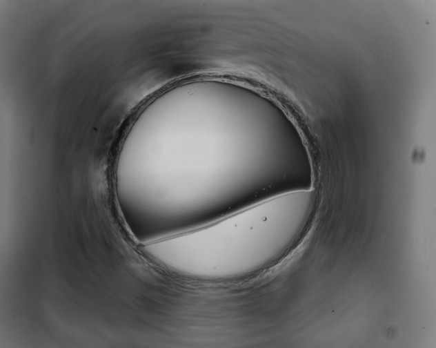 X0000102241497200807250825