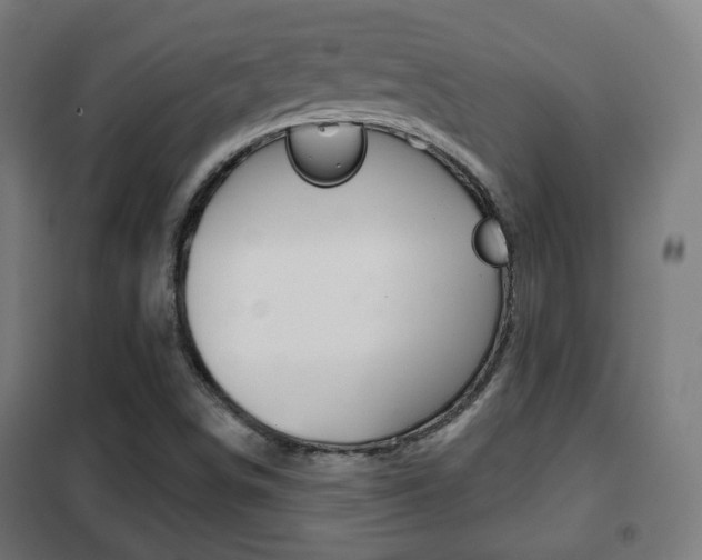 X0000102241498200807250825