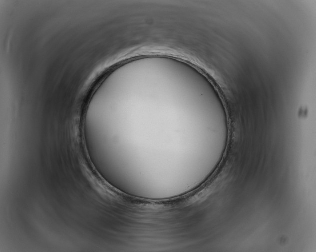 X0000102241499200807250825