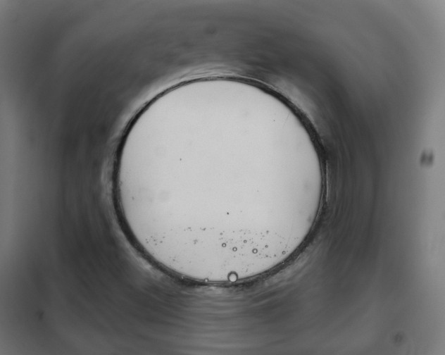 X0000102241500200807250825