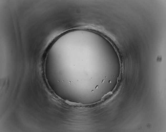 X0000102241501200807250825