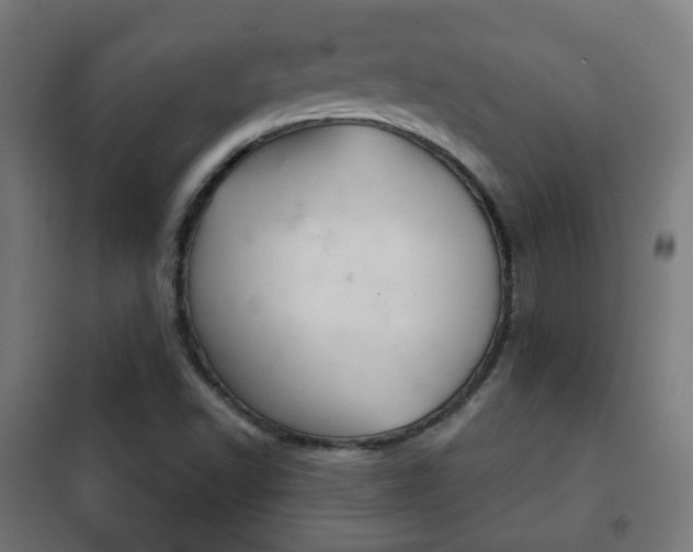 X0000102241502200807250825