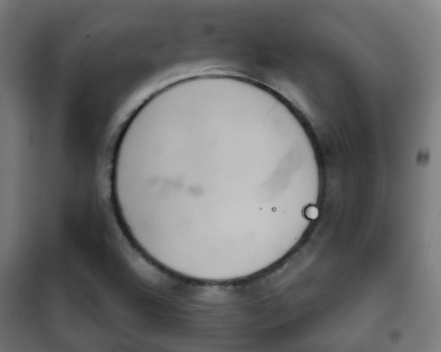 X0000102241504200807250825