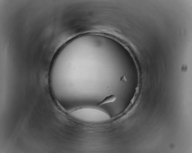 X0000102241505200807250825