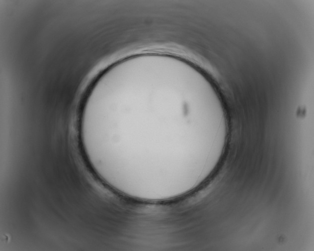 X0000102241506200807250825