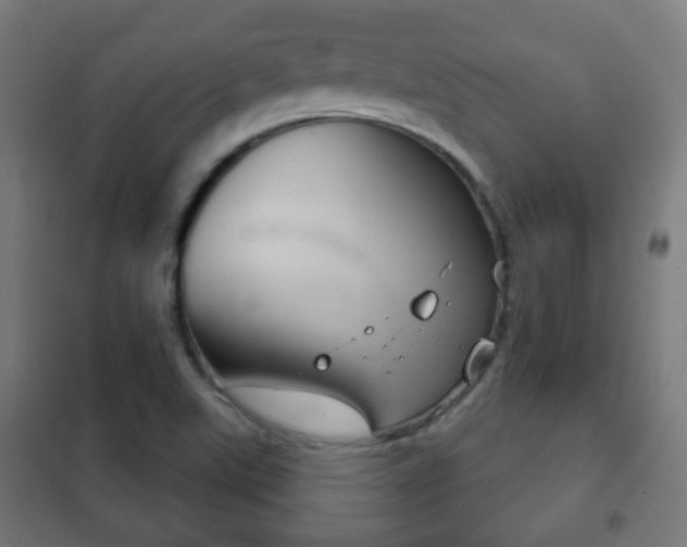 X0000102241507200807250825