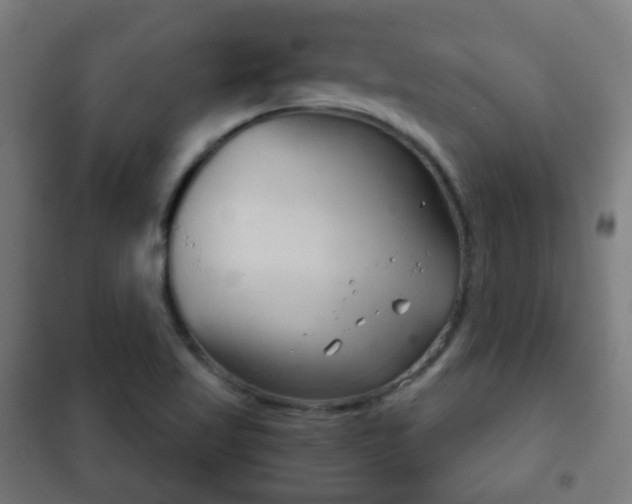 X0000102241509200807250825