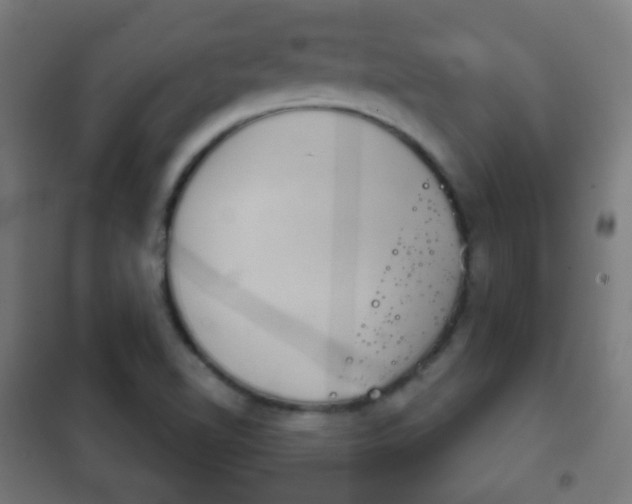 X0000102241510200807250825