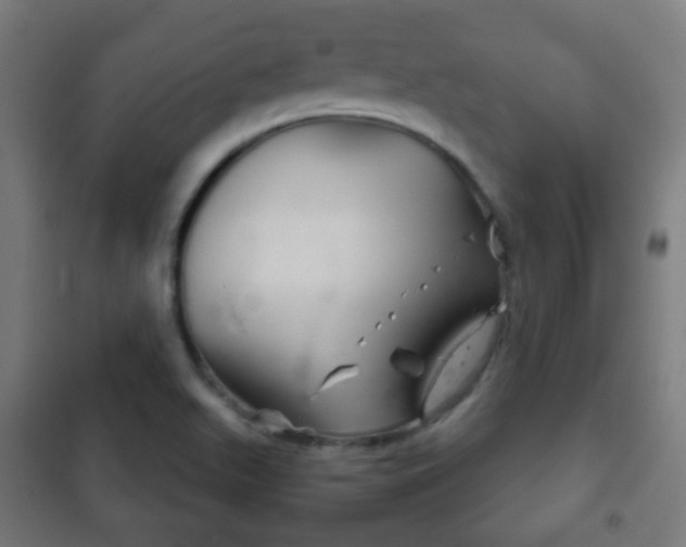 X0000102241511200807250825