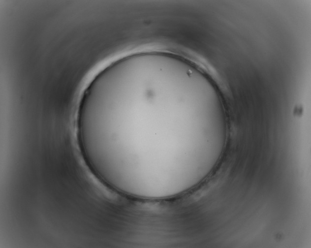 X0000102241512200807250825