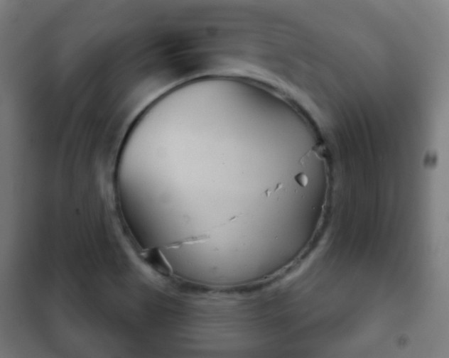 X0000102241513200807250825