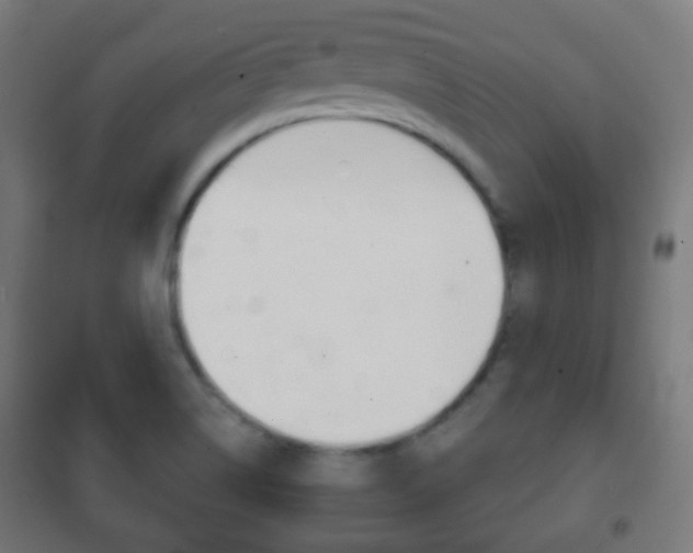 X0000102241514200807250825