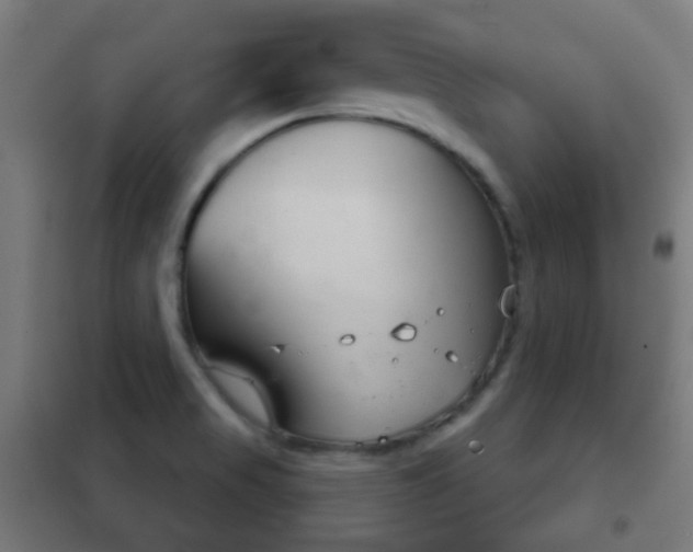 X0000102241517200807250825