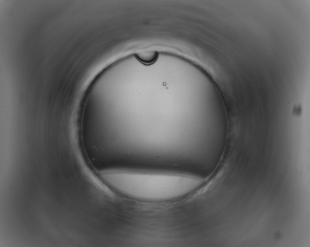 X0000102241518200807250825