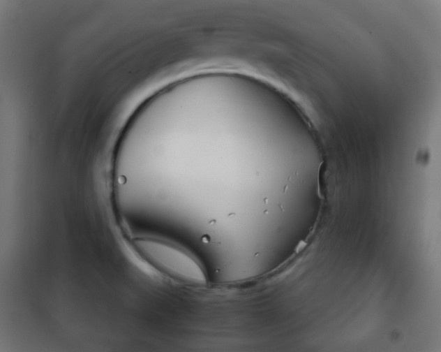 X0000102241519200807250826